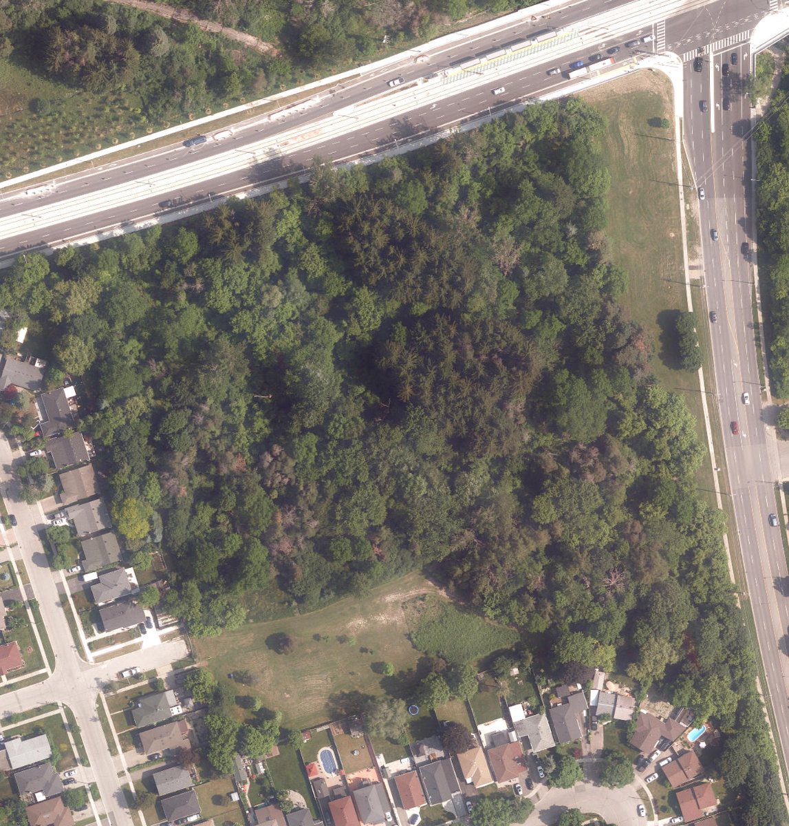 Finch - Islington Park, aerial top-down view