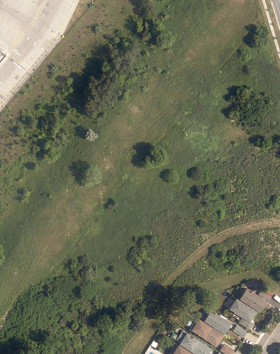Jeanette Park, site photograph