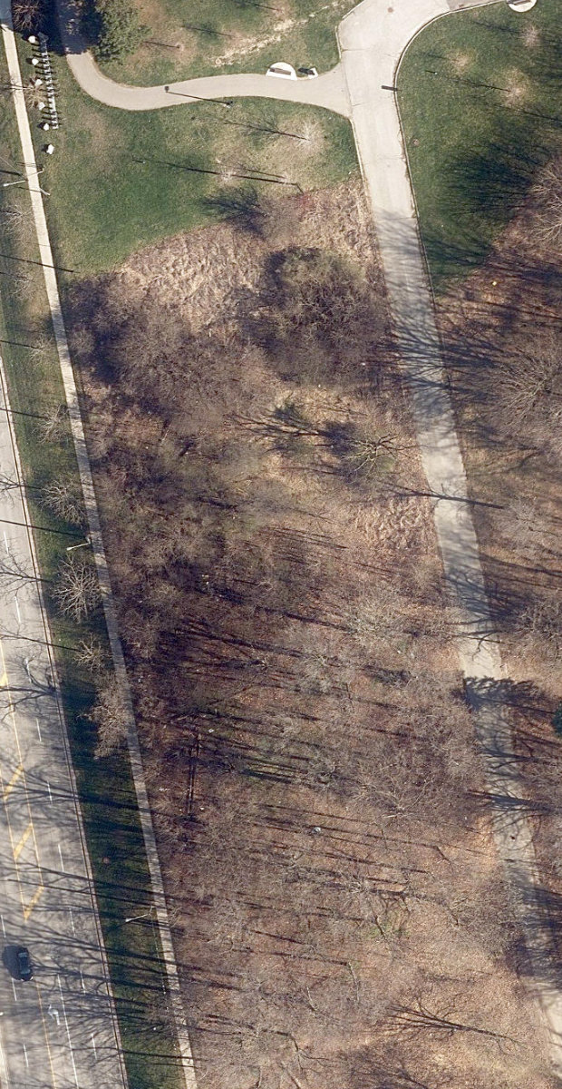 Downsview Park, aerial top-down view