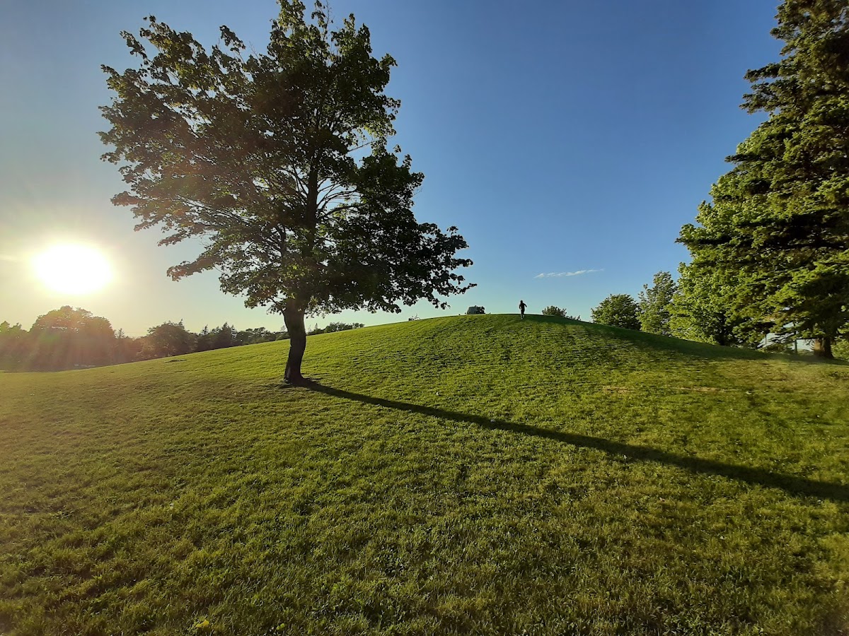 Tabor Hill Memorial Park, site photograph