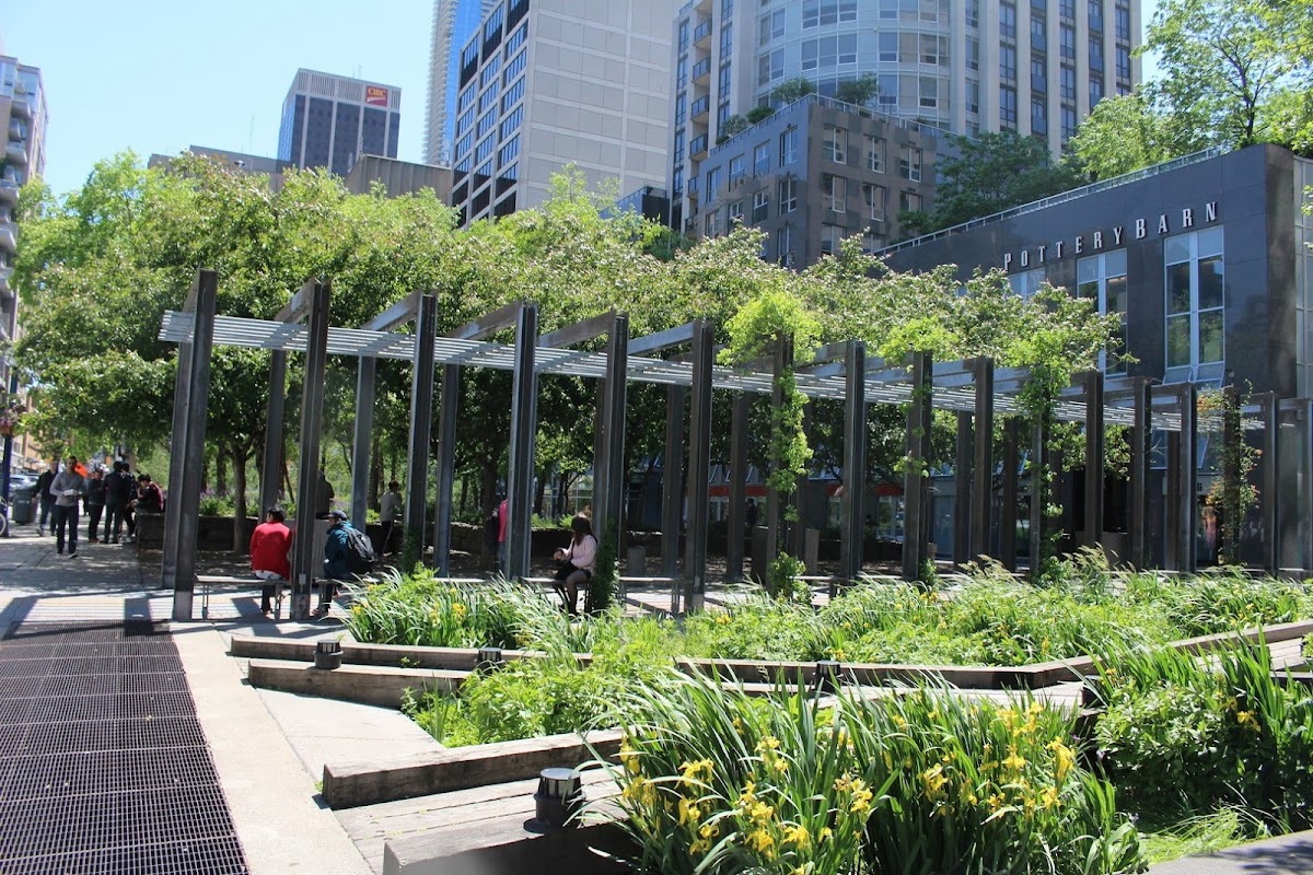 Village Of Yorkville Park, site photograph