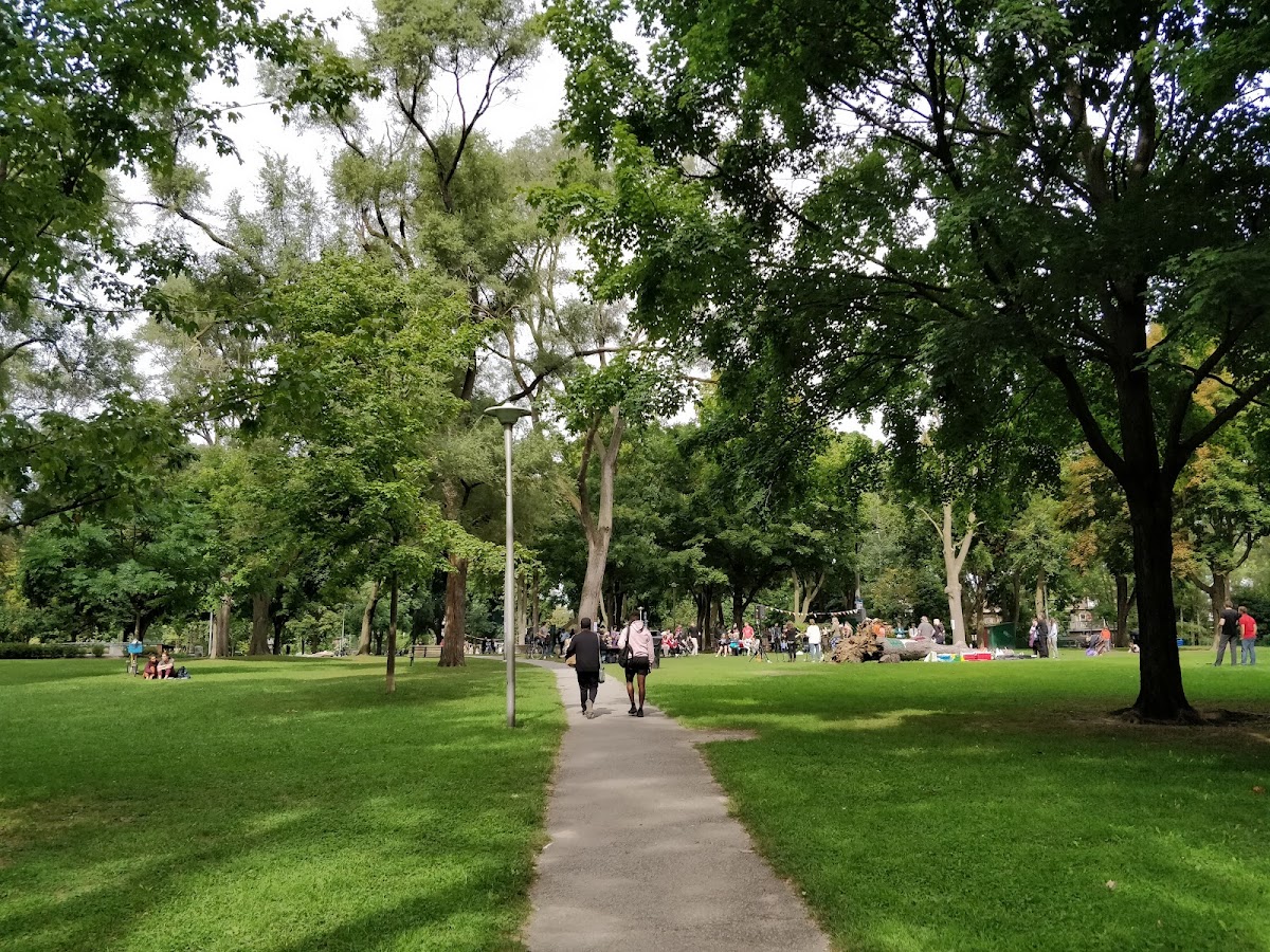 Dufferin Grove Park, site photograph