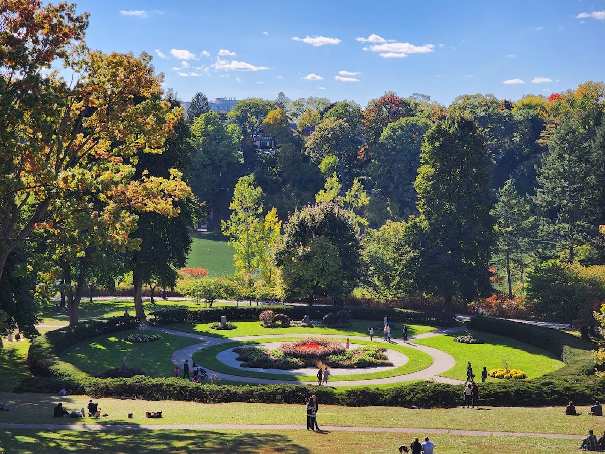 High Park, site photograph