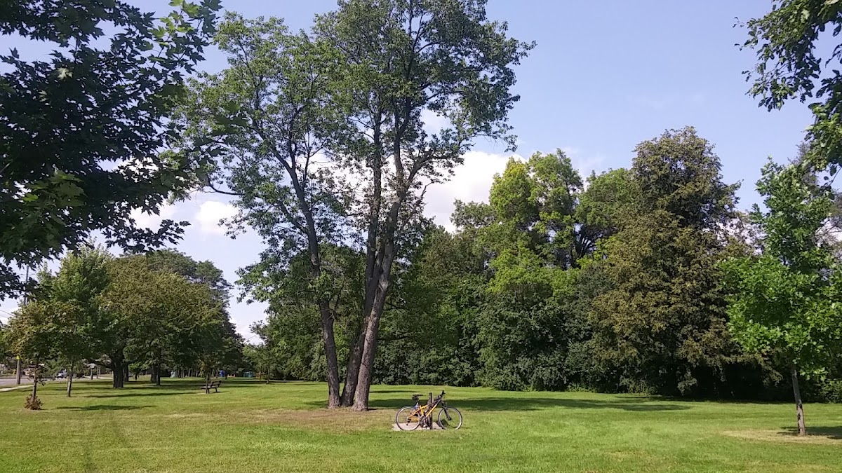 Tottenham Parkette, site photograph