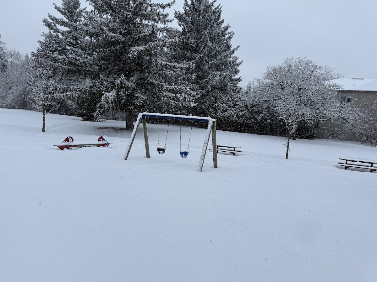Wedgewood Park - North York, site photograph